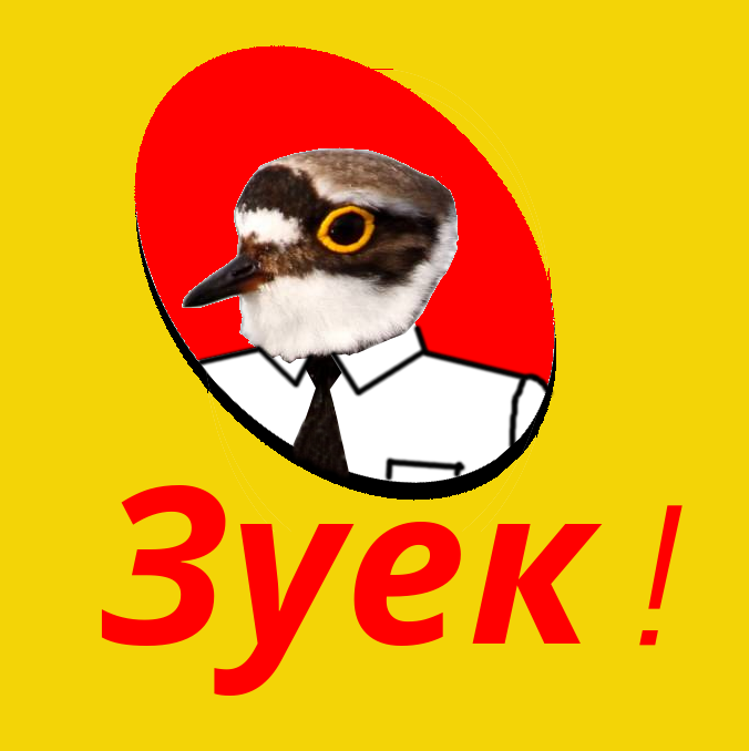 зуек